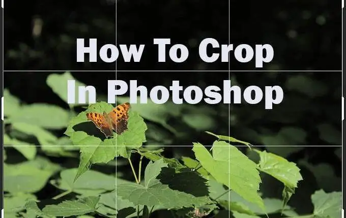 Cách cắt trong Photoshop
