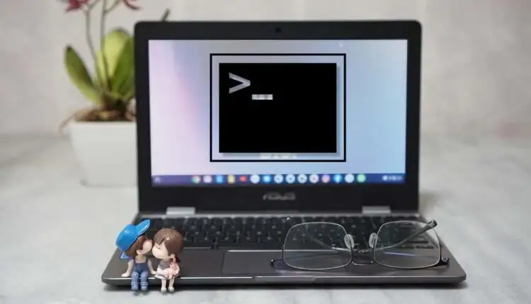 Cách mở Thiết bị đầu cuối Linux trên Chromebook
